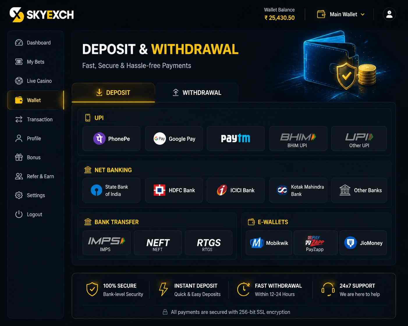 UPI, Net Banking, IMPS and crypto payment options for Skyexch account deposit and withdrawal system